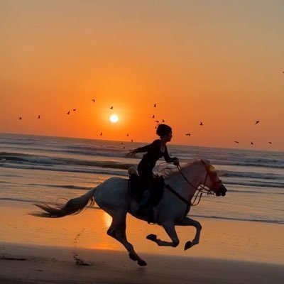 Nanita del mundo世界旅🌍🇯🇵's profile picture