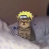 Profilbild von Minato π²
