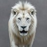 Ukpaka's profile picture