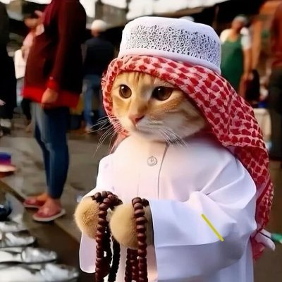 Ashraful Alom's profile picture