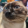 Profilbild von 琢磨