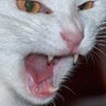 Фото профиля br0pleasebro