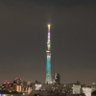 しーこよ 的头像