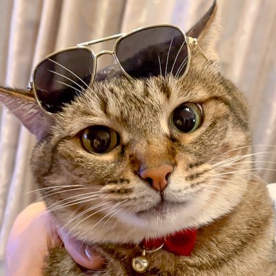 M0GURA_'s profile picture
