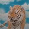 猛虎 profil fotoğrafı