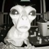 Profilbild von NobodyKnows