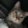 Precious's profile picture