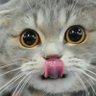 Profilbild von VJ