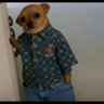 Koala's profile picture
