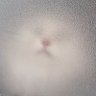 ♡'s profile picture