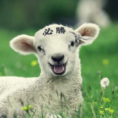 Lutz Olaf's profile picture