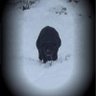 Samantha's profile picture