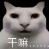 shang shan's profile picture