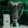 Фото профиля سلطان العتيبي #بطل النخبة والسوبر 🏆 🏆
