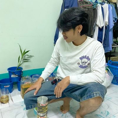 Nopp's profile picture