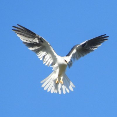 utnk1's profile picture