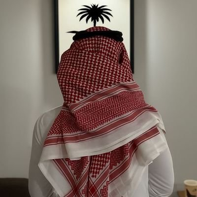 نصير⚔️'s profile picture