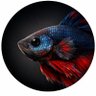 زياد الخليل's profile picture