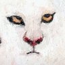 Profilbild von side444123