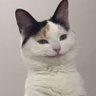 Haii's profile picture