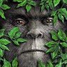 Sasquatch's profile picture