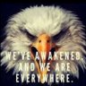 WWG1WGA's profile picture