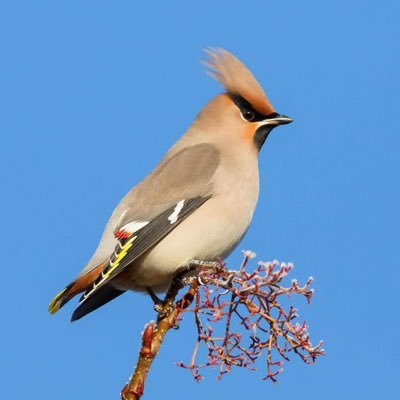 Luke's profile picture