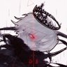 Noah Troche (pronounced Troshae)'s profile picture