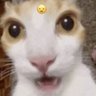 Miguelm3n 的头像