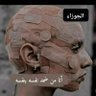Amir El3ofy's profile picture