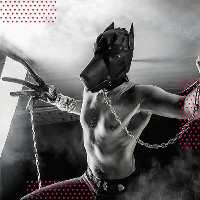 FindomMastersRT's profile picture