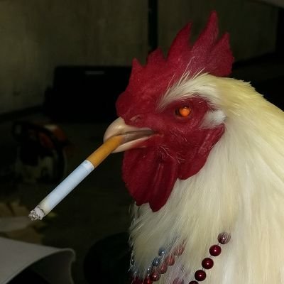 Gallina Cósmica 🐔❤️'s profile picture