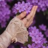 Фото профиля أم حنان