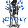 MeryKey profil fotoğrafı