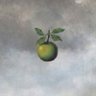 josh's profile picture