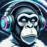 Profilbild von Start Play Finish