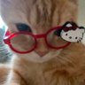 bibi ★ profil fotoğrafı