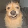 Profilbild von LoLvSk