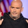 Trumpstein's profile picture
