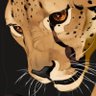 Chadley Norman's profile picture