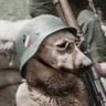 Ober's profile picture