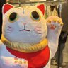 Фото профиля ちゃしゃ猫necoko