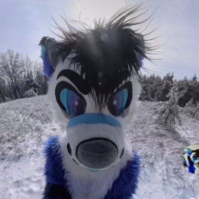 That 360 Furry's profile picture
