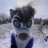 Фото профиля That 360 Furry