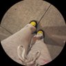 B profil fotoğrafı