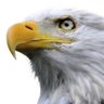 Profilbild von JACK WI