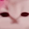 もりりり 的头像