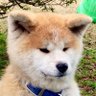 ラルフ's profile picture