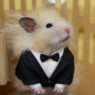 Saic3's profile picture