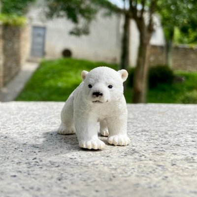 コタリーヌミレーネ's profile picture